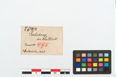 Etikett zu Bronzekugelkopfnadel (NHMW-PRAE-025194)